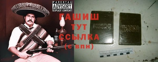 индика Володарск