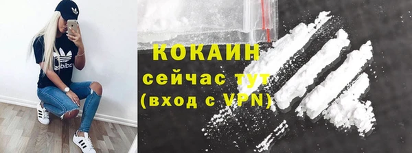 индика Володарск