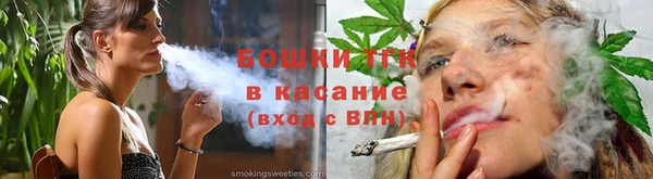 индика Володарск