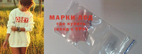 индика Володарск