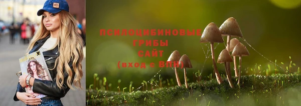 индика Вяземский