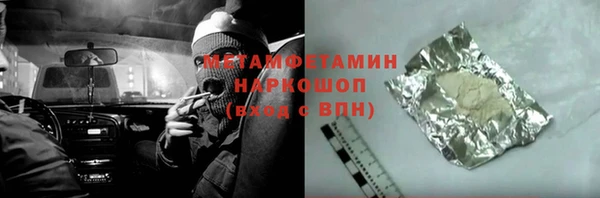 индика Володарск