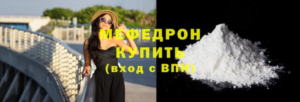 индика Вяземский