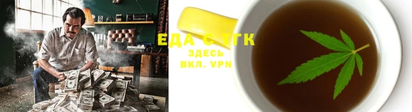 индика Володарск