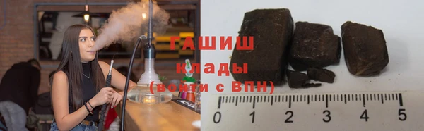 индика Володарск
