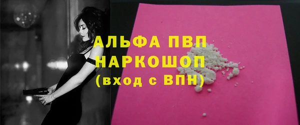 индика Вяземский