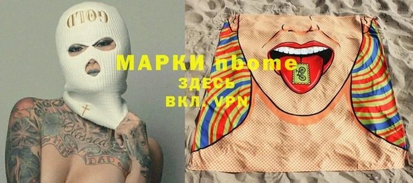 индика Володарск