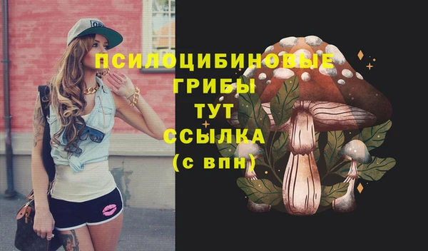 индика Вяземский