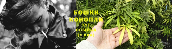 мяу мяу мука Волоколамск