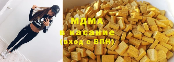 индика Володарск