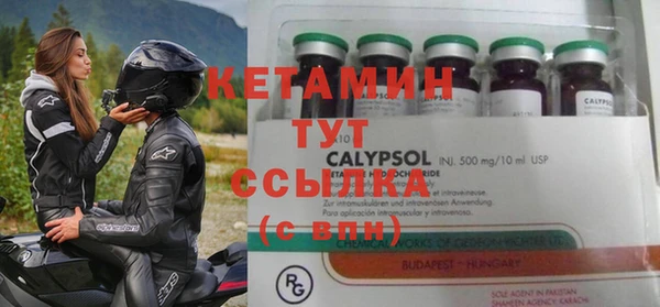 индика Володарск