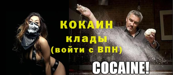 шишки Семилуки